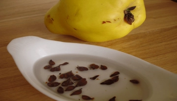 Ayva Çekirdeğinin Cilde Faydaları Nelerdir? Ayva Çekirdeğinin Cilde Faydaları Nelerdir?